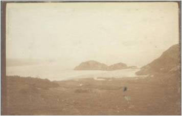 Picture1