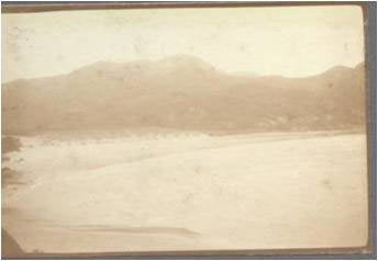 Picture2 (2)